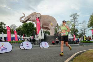 BIB: 
                            <button type="button" onclick="openModal(26528726)" class="btn btn-primary btn-sm float-right btn-popup" data-toggle="modal" data-target=".modal-high-quality">
                        <i class="fas fa-shopping-cart"></i> Add to Cart
                    </button>
                                            <button type="button" onclick="isThisMe(26528726, true)" class="btn btn-success btn-sm float-right btn-popup btn-isme hidden" data-toggle="tooltip" data-placement="bottom" title="นี่คือรูปของคุณใช่ไหม คลิกที่นี่เพื่อเอาเข้าอัลบั้ม">
                        <i class="fas fa-plus"></i> Add to album
                    </button>
                    <button type="button" onclick="isThisMe(26528726, false)" class="btn btn-warning btn-sm float-right btn-popup btn-isnotme hidden">
                        <i class="fas fa-ban"></i> Remove from album
                    </button>